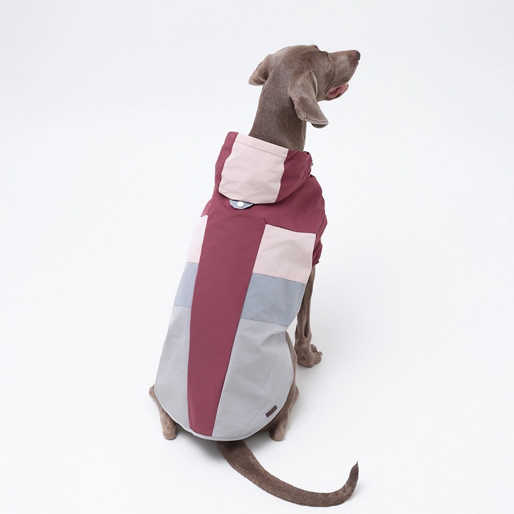 dog raincoat dog raincoat