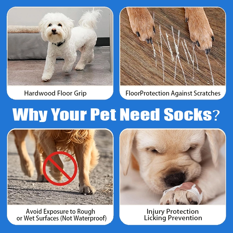 Prevent Licking and Scratching
