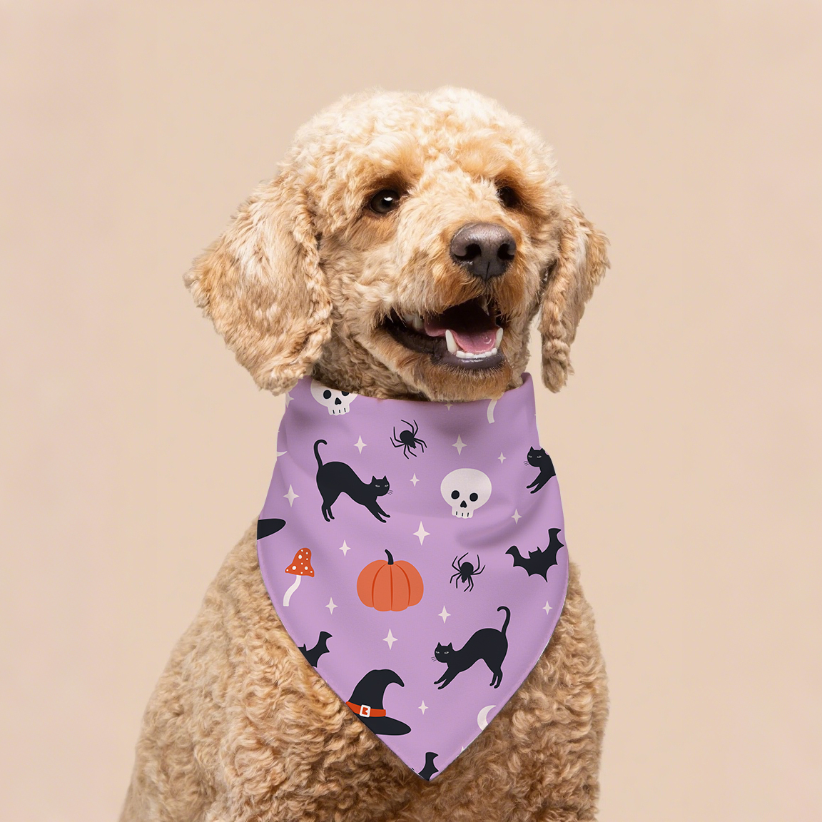 Hallowmas Luxury Dog Bandana Coton et Polyester Pet Pet Pet Pet pour l'été printemps d'hiver Mignon de motif animal accessoire