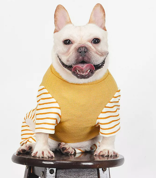 pet clothes pet clothes