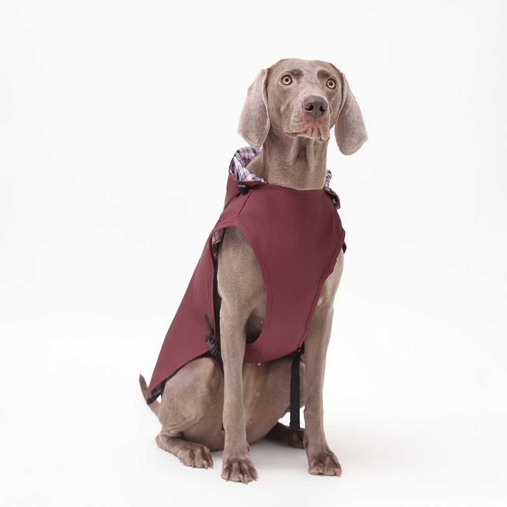 Vêtements pour animaux de compagnie Chaud Doux Designer Séchage Vêtements De Chien Vendeurs Coupe-Vent Chien Veste De Mode Logo Gilet Météo Chaud Manteau De Chien D'hiver