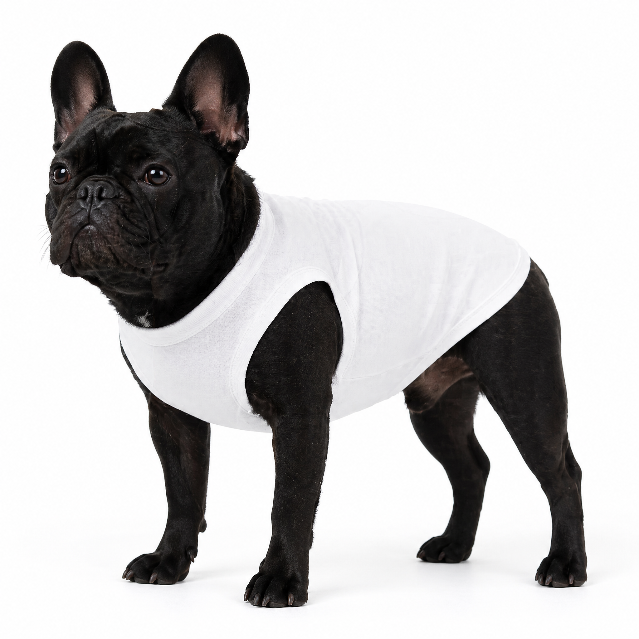 Eco-Friendly Cotton Large Dog T-Shirts, Plain Color, Bulk Pack