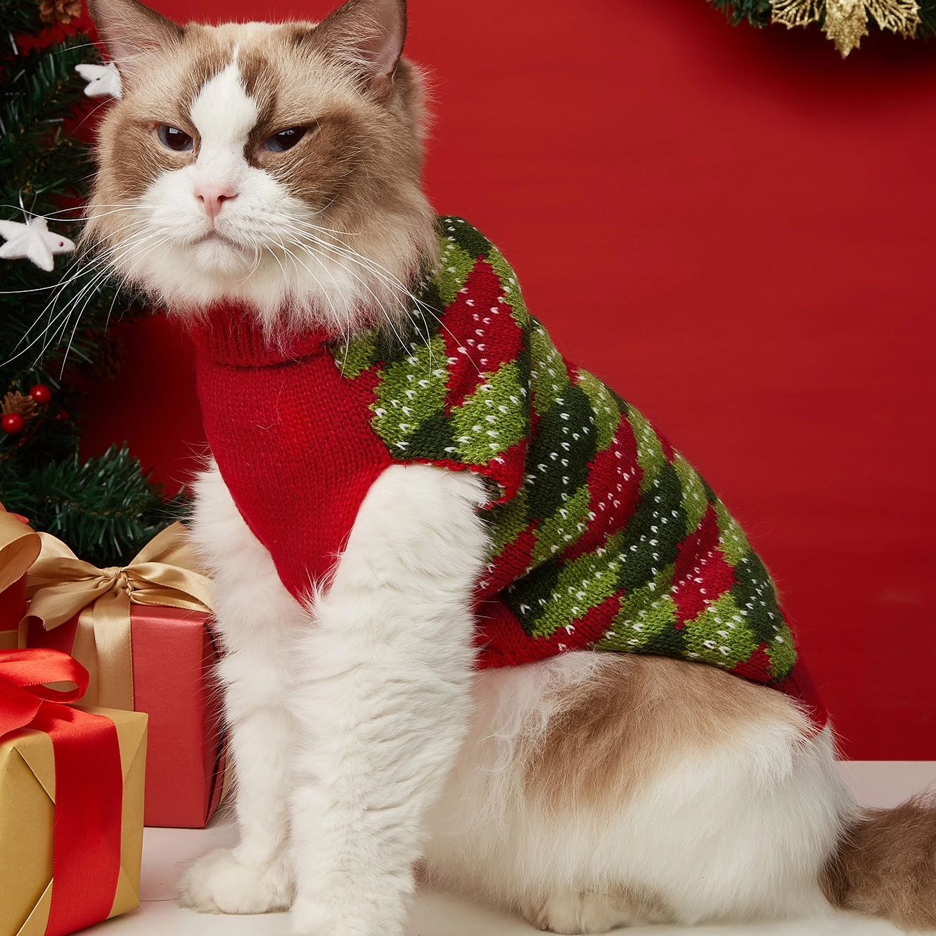 pet sweaters