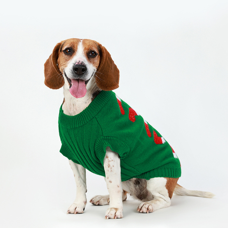 โรงงานที่กำหนดเองหลากสีเสื้อกันหนาวสุนัขคริสต์มาส XL สีเขียวถักสัตว์เลี้ยงคาร์ดิแกนเสื้อกันหนาวออกแบบเสื้อผ้าสัตว์เลี้ยง
