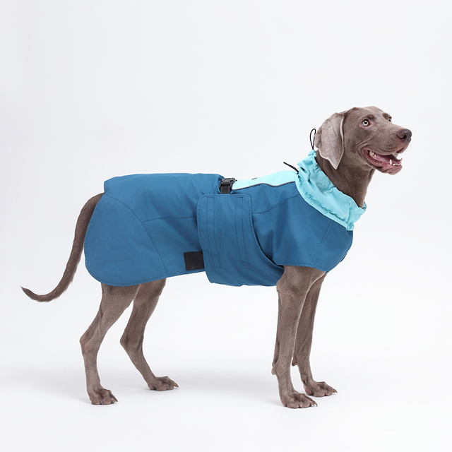 Veste pour chien, manteau imperméable pour chien, manteau pour chien de styliste, doudoune imperméable 2024, nouvel arrivage