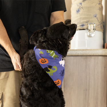 Halloween Hond Bandana Voor Honden Huisdier Driehoek Slabbetjes Sjaal Huisdier Vakantiebenodigdheden