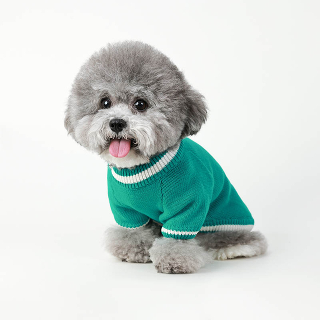 Pull de chien, taille xs pull de chien Câble pour animaux de compagnie Treat Tirover Vêtements chauds, chiot, couches haut de gamme Classic Tricot Soft Christmas Clothing pour temps froid usure chaude pour les petits chiens