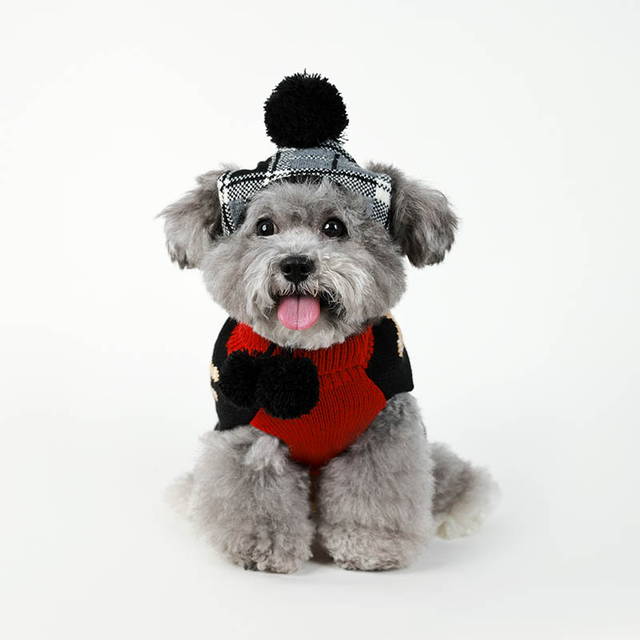 Chiens de Noël chiens à rayures à rayures pain d'épice de Noël pour chiens de Noël pour chiens de chigure de vacances du Nouvel An Puppy chat Pull pour les petites filles de grande chiens de taille moyenne