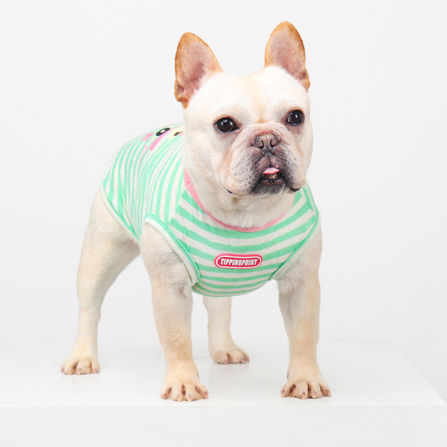 Pengeluar borong haiwan peliharaan jalur anjing t-shirt musim panas musim bunga anjing comel mantel pakaian