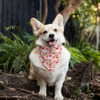 Collier de chien de Noël bandana festive pour accessoire de mode canine