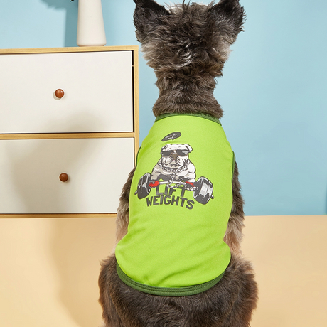 T-shirt per cani vestiti estivi per gatti per animali domestici T-shirt per cani con stampa fai-da-te