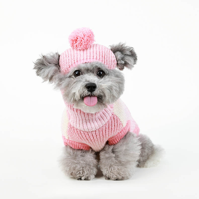 Small Dog Sweater Tricoted Pet Pull Tweater Chog Dog Dogs Sweat Cabine