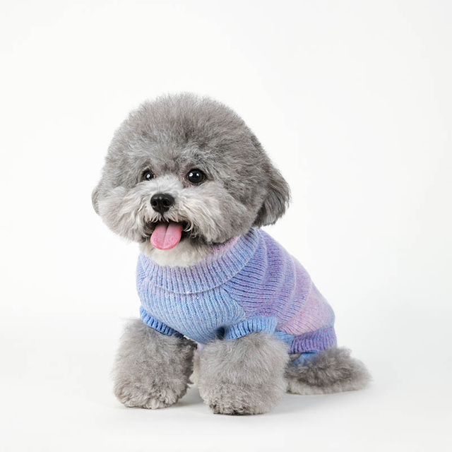 Pulte de chiot, pull en tricot en tricot en hiver vêtements pour chiens chauds, pull à col roulé pour les chats et chiots pour animaux de compagnie