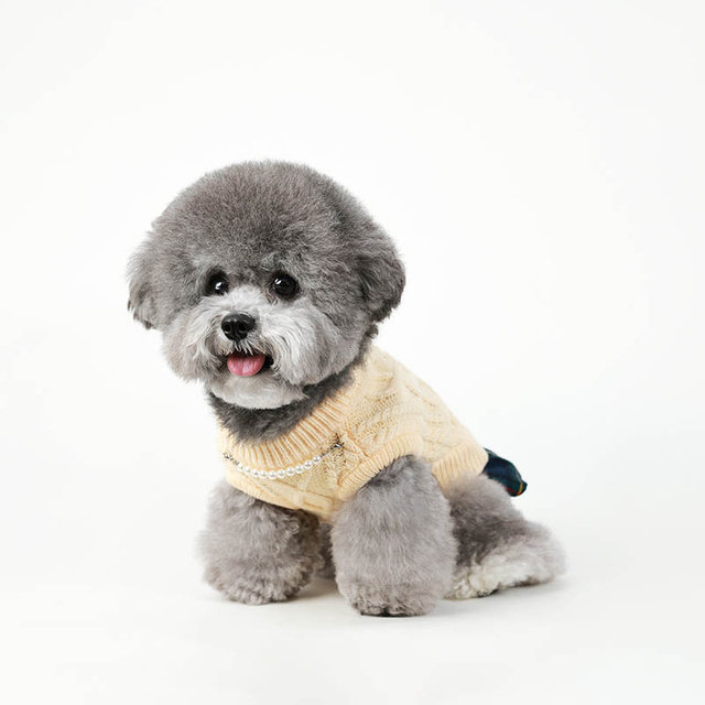 Pull de chien, jupe de jupe chiot pull de compagnie de compagnie froide tricote de câble, mignon tricot chat pull pull de chien chaud veste de boucle de ceinture pour filles pour filles