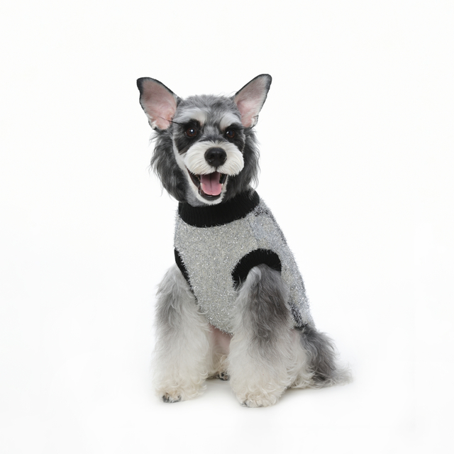 Puppy trui gebreide troeteldierkat trui warm honde trui hond winter klere katjie hondjie silwer sy trui