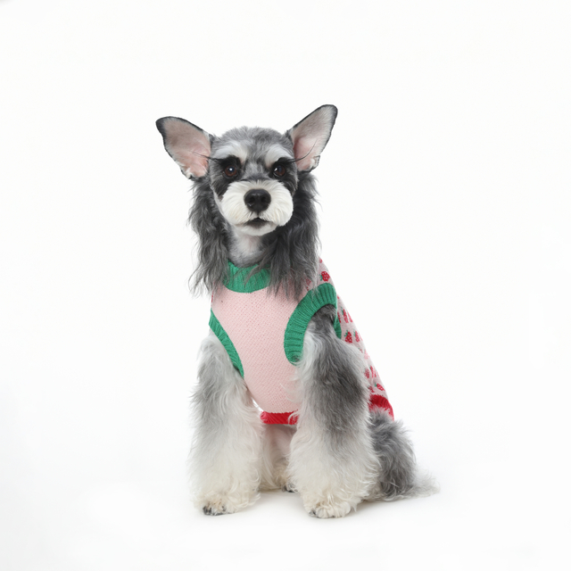 Honde klere aarbei patroon honde trui sagte honde klere winterhond trui warm stel honde katklere