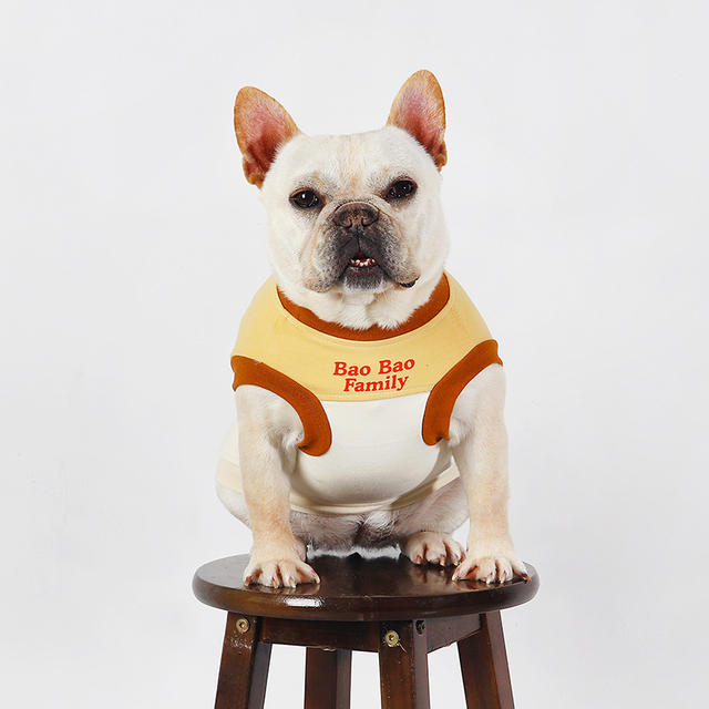 Pengeluar borong haiwan peliharaan jalur anjing t-shirt musim panas musim bunga anjing comel mantel pakaian