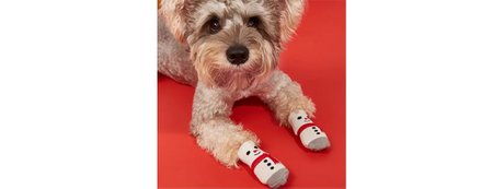 dog socks for dogs hallween.png