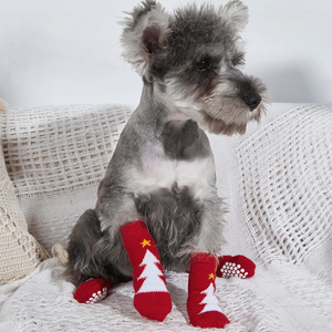 pet socks5.jpg