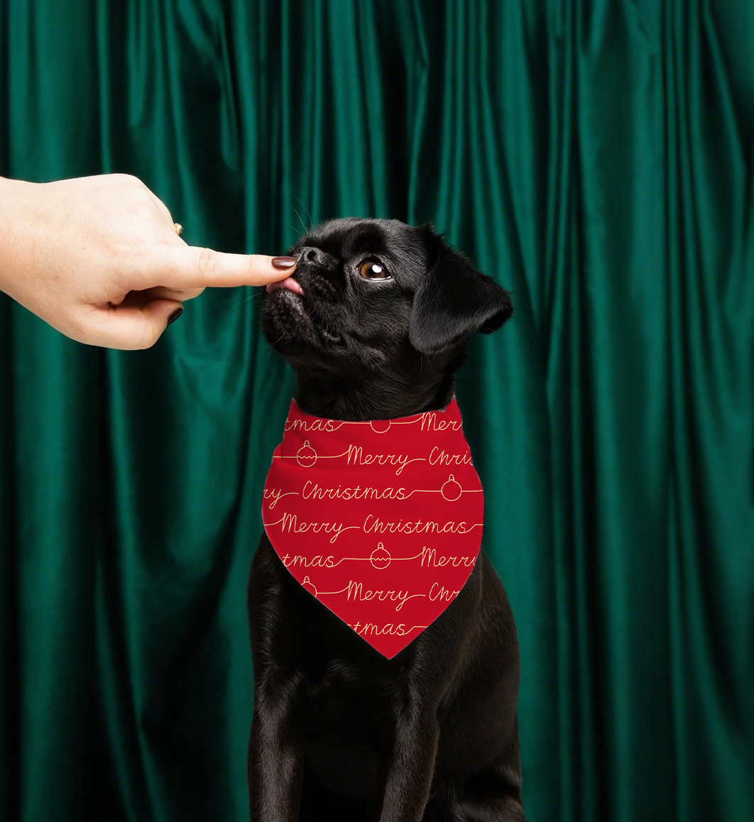 Collier de chien de Noël bandana festive pour accessoire de mode canine