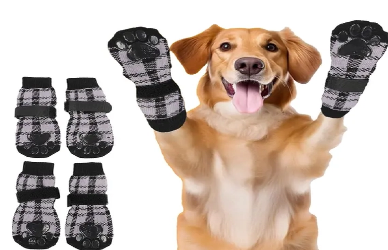 5.png