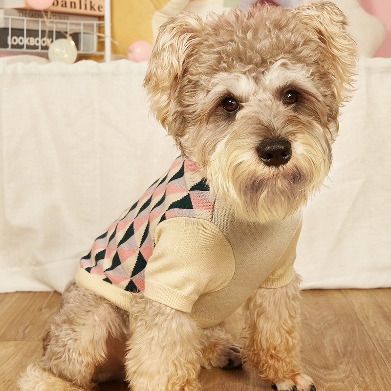Pullaire de chien PAT PADATRE JACKING TRICHET DOG DOGER COSEMENTS D'HIVÉRIEL