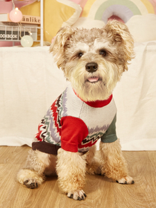Dog Sweater Pet Stripe Sweater Dog Patchwork Color Sweater Knitted Design Dog Jacket Pet Winter Clothes Small Dog Warm Pullover