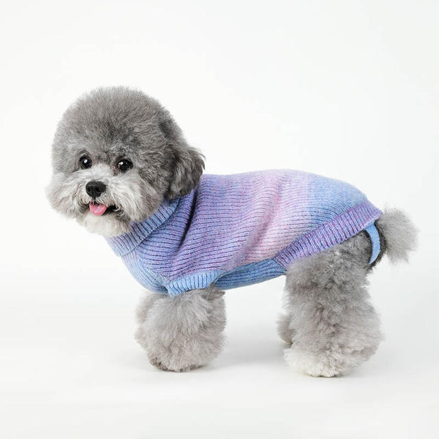 Pulte de chiot, pull en tricot en tricot en hiver vêtements pour chiens chauds, pull à col roulé pour les chats et chiots pour animaux de compagnie