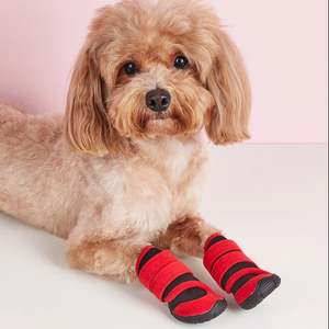 Pet Dog Shoes Breathable and Comfortable Dog Shoes for all season