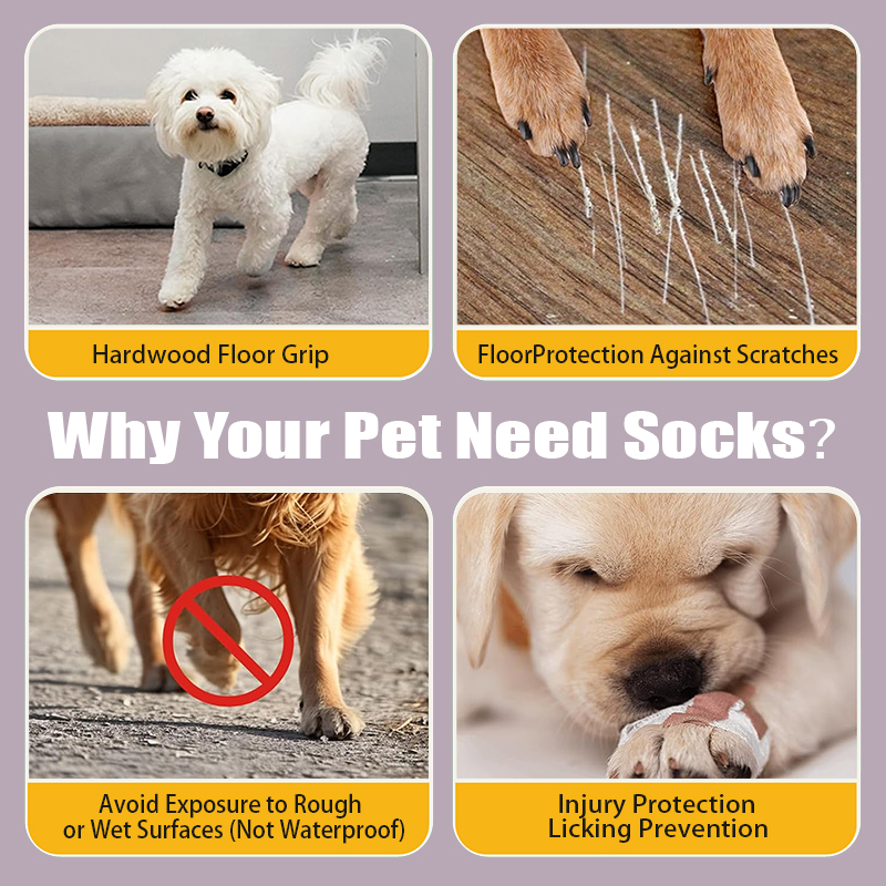 High Quality Wholesale Anti Slip Dog Socks Paw Protector Dog Grip Knit Socks for Hardwood Floors