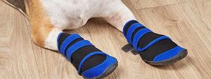 Pet Socks-3.png