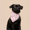 Lógó saincheaptha só -díol te clóbhuailte bunny na Cásca madra bandana cúlpháirtí peataí ilfheidhmeach don earrach geimhridh don mhadra