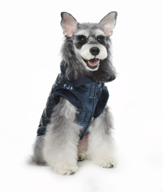 pet clothes pet clothes