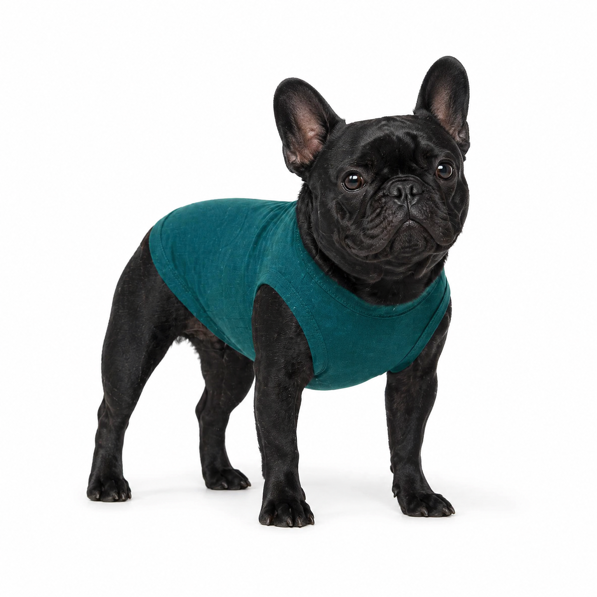 Eco-Friendly Cotton Large Dog T-Shirts, Plain Color, Bulk Pack