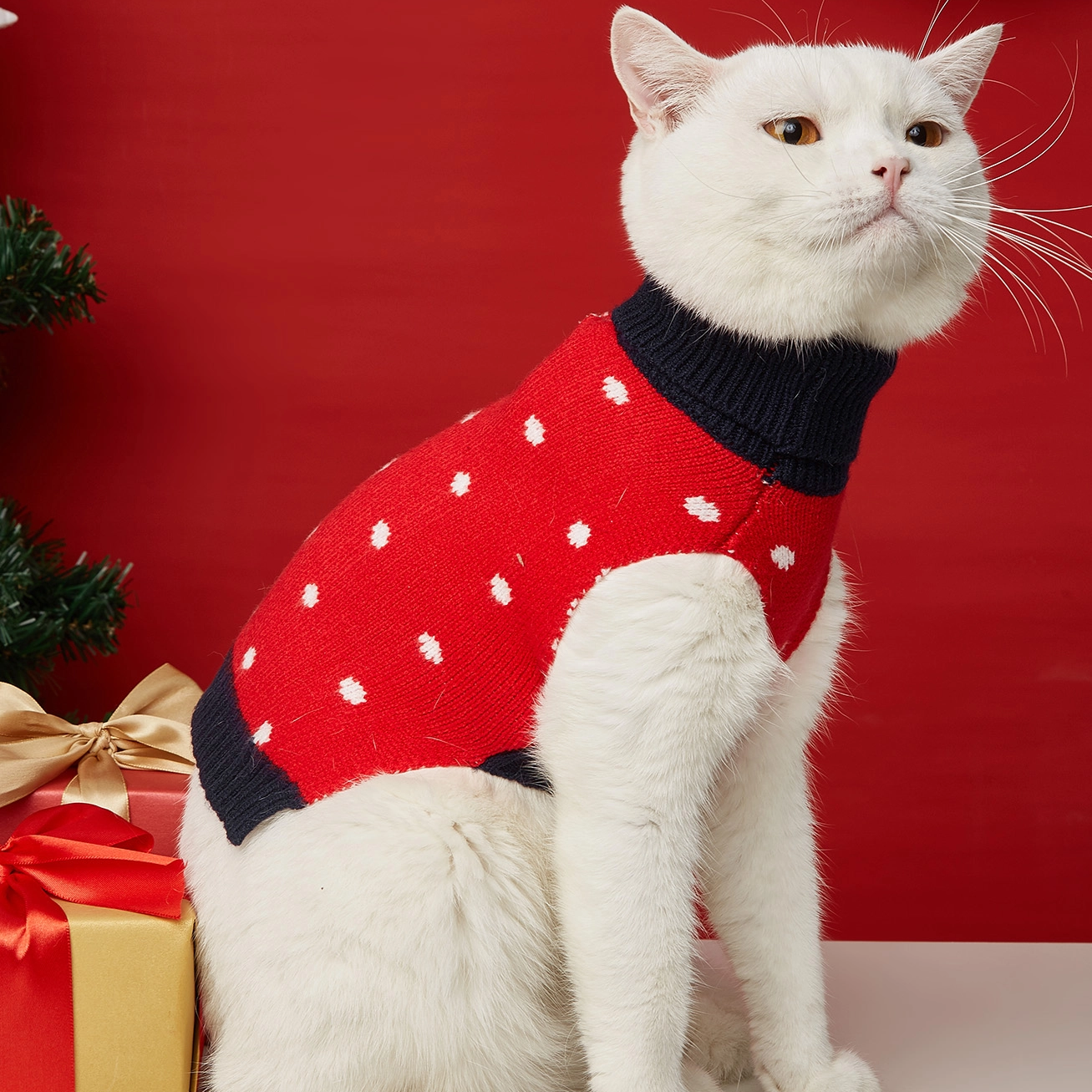 Chiens de chien animal de compagnie de Noël rouge polka point pull en tricot de design en tricot moteurs de chien