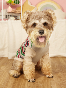 Dog Sweater Pet Wavy Stripe Sweater Knitted Design Dog Jacket Pet Winter Clothes Small Dog Warm Pullover Beige
