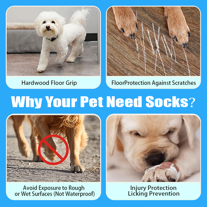 High Quality Wholesale Anti Slip Dog Socks Paw Protector Dog Grip Knit Socks for Hardwood Floors