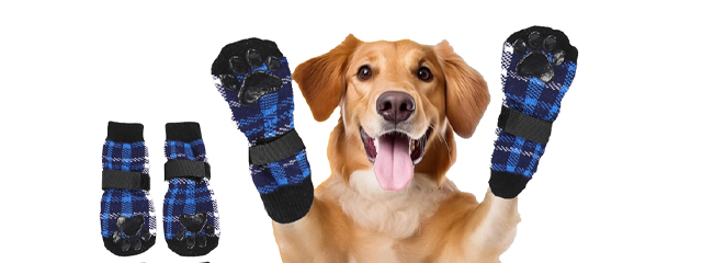 Pet Socks