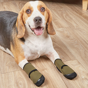 pet waterproof shoes6.jpg