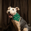 Collier de chien de Noël bandana festive pour accessoire de mode canine