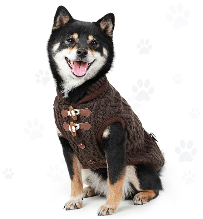 Personalized Dog Clothing