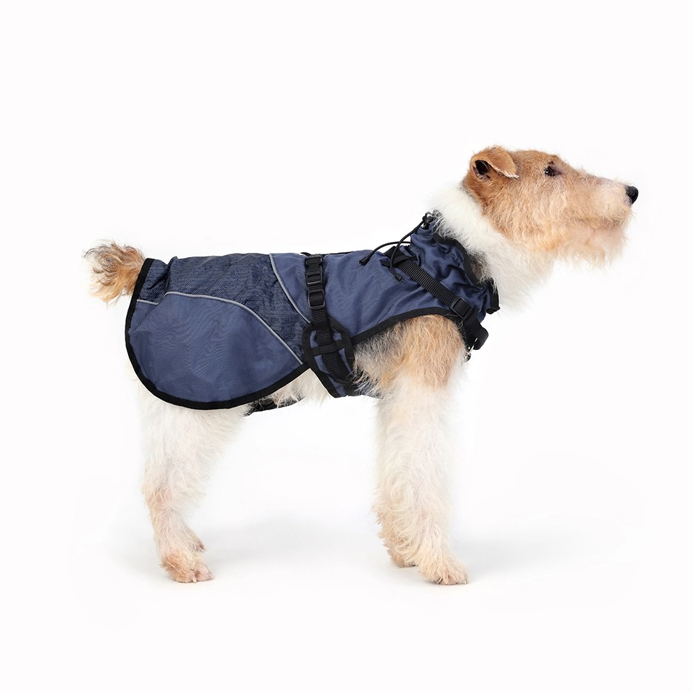 dog raincoat