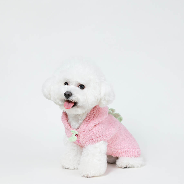Les sweats à capuche d'hiver pour chiens, les petits sweats à capuche en toison semi-polaire et les tenues de chiot et de chats d'automne et d'hiver conviennent aux petits et moyens chiens et chats
