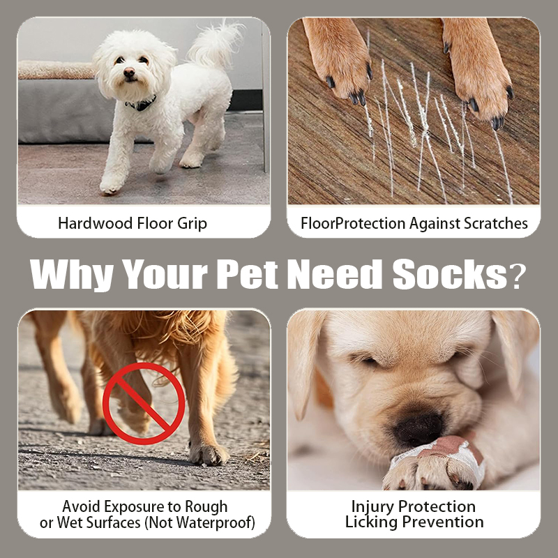 High Quality Wholesale Anti Slip Dog Socks Paw Protector Dog Grip Knit Socks for Hardwood Floors