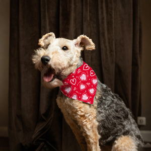 Valentine's Day Dog Bandana Cute Pet Apparel Accessories for Canine Comfort and Style