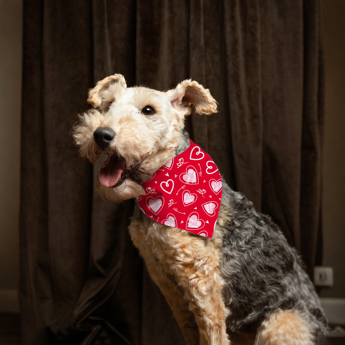 Valentínsky deň psov Bandana Cute Pet Pet Apparel doplnky pre pohodlie a štýl psov