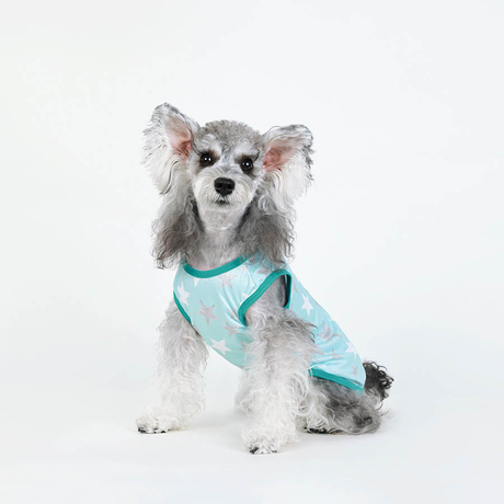 နွေရာသီတွင် လေ၀င်လေထွက်ကောင်းသော နိုင်လွန်အထည် ခွေးအအေးခံအင်္ကျီ အအေးခံ အိမ်မွေးတိရစ္ဆာန် အအေးဝတ် ခွေးကြောင် အအေးအင်္ကျီ
