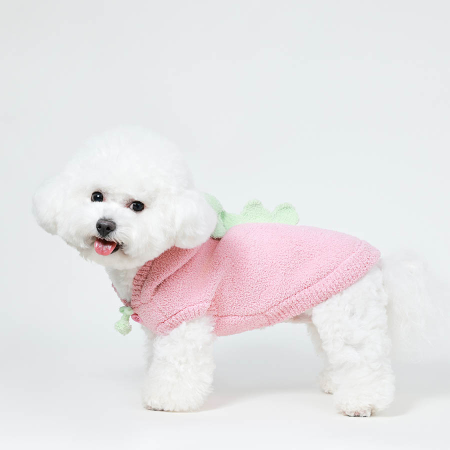 Winter hoodies for dogs, semi-polar fleece small dinosaur hoodies, and autumn and winter puppy and cat outfits are suitable for small and medium-sized dogs and cats