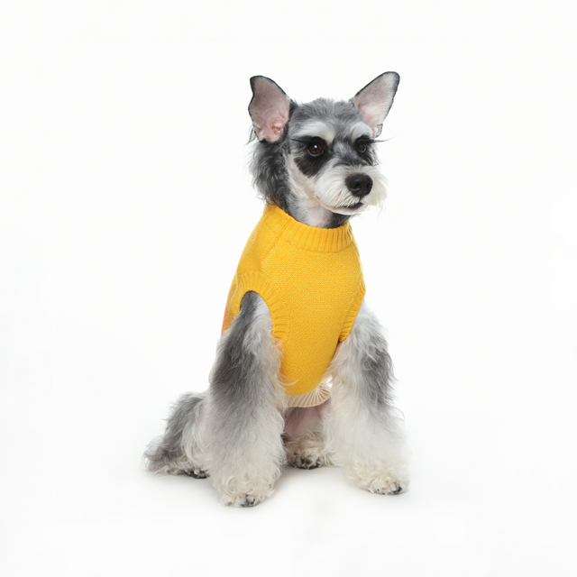 Honde trui, warm honde trui, vir klein honde, medium en groot honde, oulike winter klassieke hoë nek troeteldier truie, kat truie, hondeklere, honde kersfees truie, oulike bye