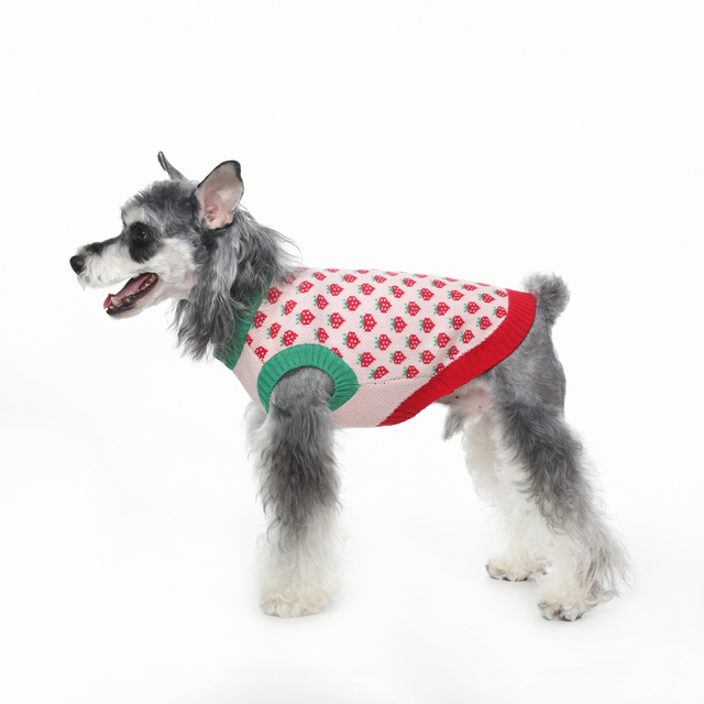 Honde klere aarbei patroon honde trui sagte honde klere winterhond trui warm stel honde katklere